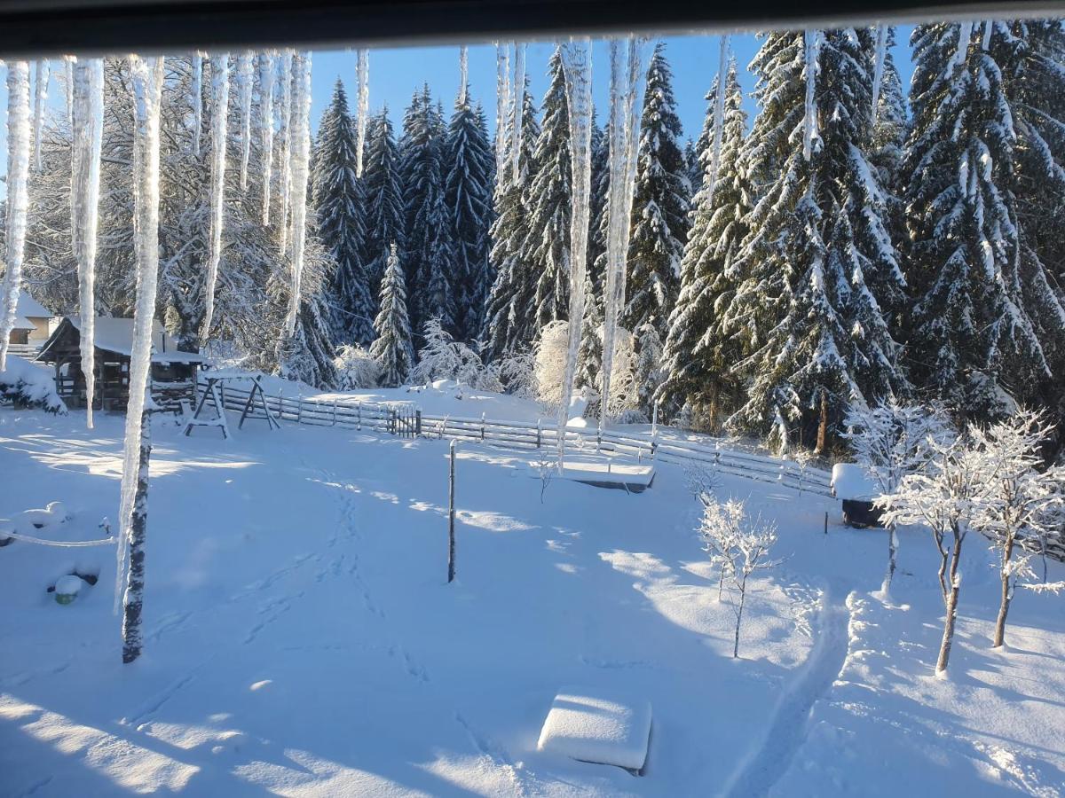 Planinska Koliba Ajdanovici Jelovac Nisicka Visoravan Olovo Exterior foto