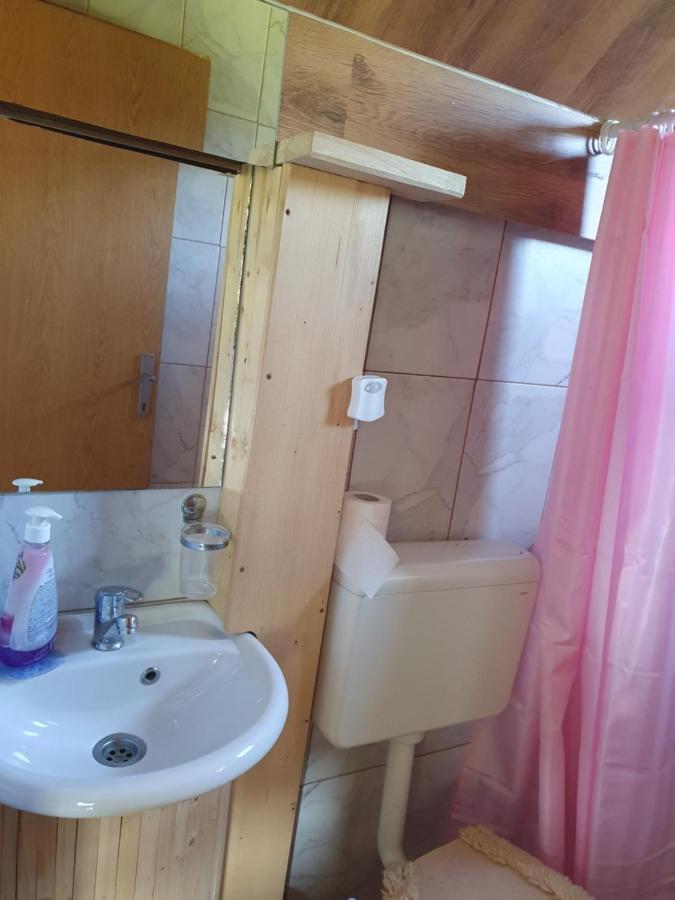 Planinska Koliba Ajdanovici Jelovac Nisicka Visoravan Olovo Exterior foto