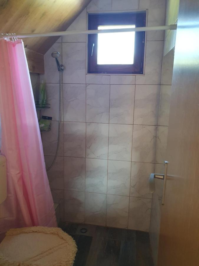 Planinska Koliba Ajdanovici Jelovac Nisicka Visoravan Olovo Exterior foto